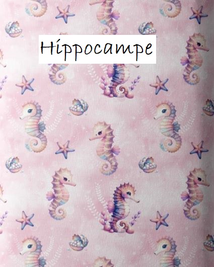 Hippocampe.JPG