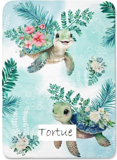 Tortue.JPG